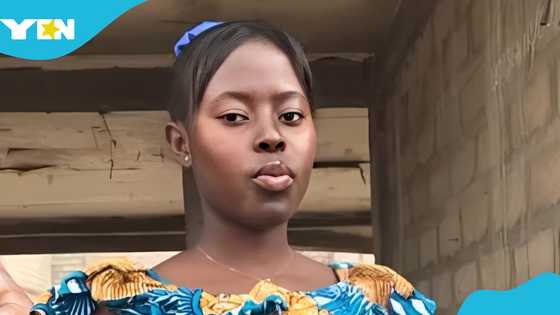 A.M.E Zion Senior High School student dies after being attacked by bees