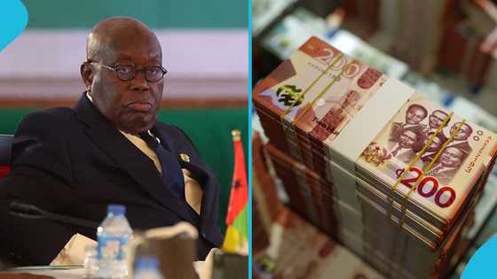 Logistics company refunds GH¢19m after Auditor-General findings about