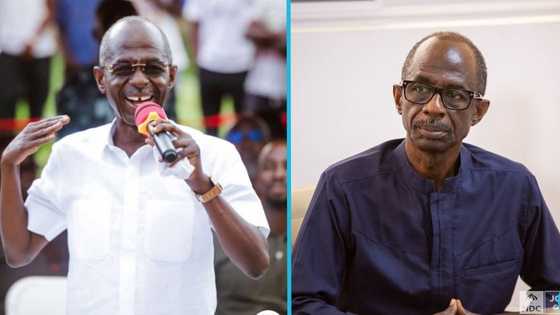 Asiedu Nketia calls for creation of committee to determine honorees at National Awards