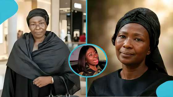 Akosua Serwaa's sister sends message to Team Legal Wives ahead of alleged celebration of life
