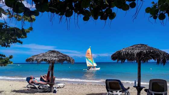 Cuba sees surge in foreign tourists, hopes for more Russians