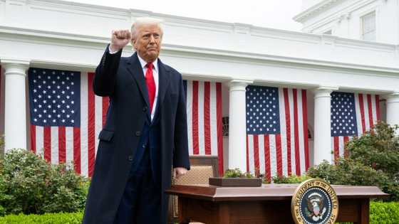 America's passion for tariffs rarely pays off, economists warn