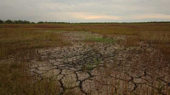 Disasters cause $3.8 tn in crop loses over 30 years: FAO