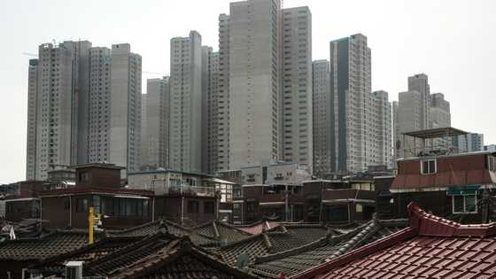 'More and faster': UN calls to shrink buildings' carbon footprint