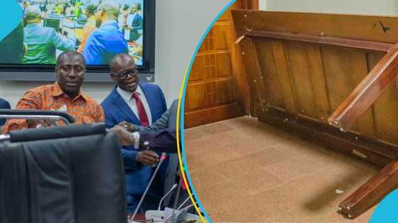 Outrage as brawl between NDC and NPP MPs wrecks Appointments Committee