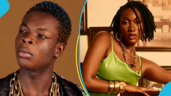 Wendy Shay: AY Poyoo offers to help singer's career with a feature, netizens react