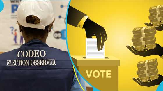 CODEO says some politicians engaged in vote buying in Ashanti, Western and Savannah regions