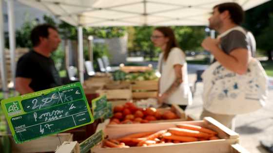Inflation, higher rates hit eurozone growth outlook