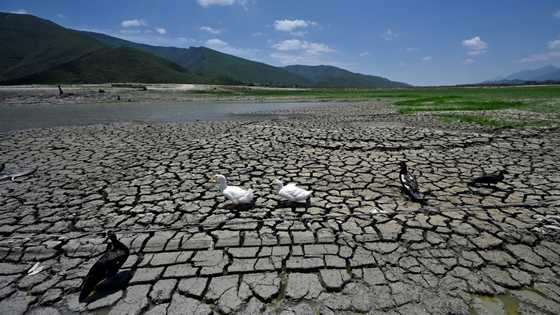 'Desperate for water': drought hits Mexican industrial powerhouse