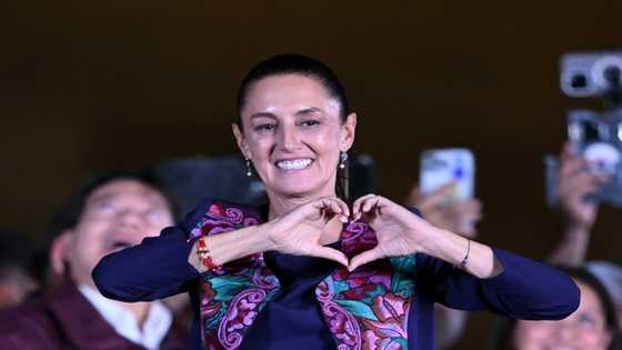 Mexican president-elect's team pledges economic stability