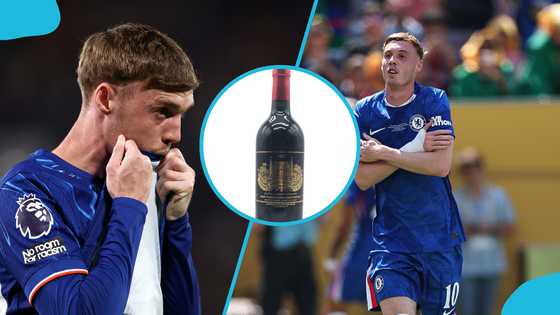 Cole Palmer faces lawsuit from French wine company over the ‘Cold Palmer’ nickname