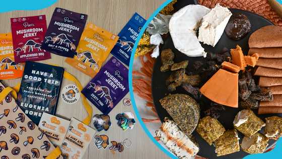 What has happened to Pan's Mushroom Jerky after Shark Tank? All you need to know