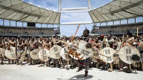 S.Africa crowns new Zulu king at mega party
