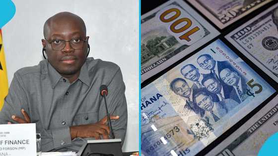 Cedi continues losses in 2026, BoG urges calm after 8.89% drop