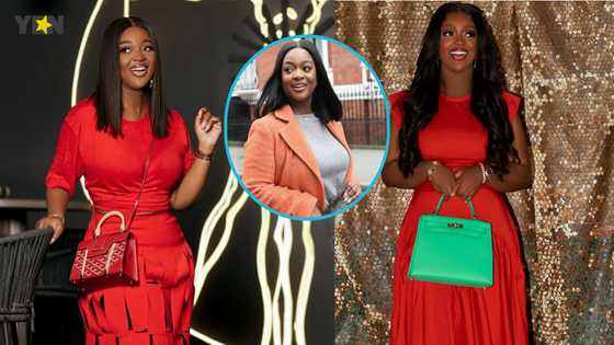Jackie Appiah steps out in a classy outfit styled with a designer toiletry pouch: "Always on point"
