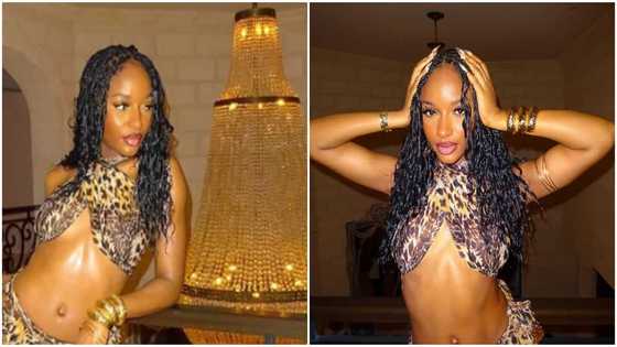 Ayra Starr sets the internet ablaze with sultry animal skin attire, netizens react: "The only Sabi girl"