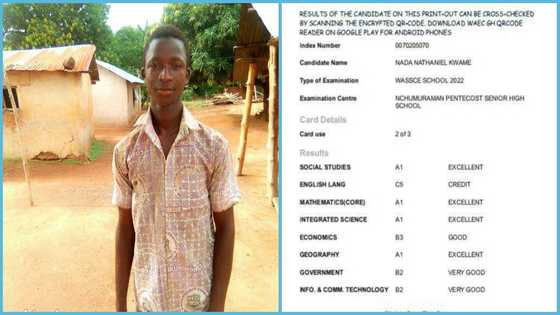 Intelligent Ghanaian student with 4As in WASSCE gains admission to UCC, needs help to pay fee