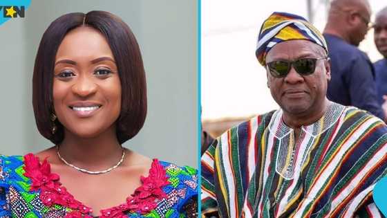 Abena Osei-Asare urges Mahama to respond to NPP's democracy petition