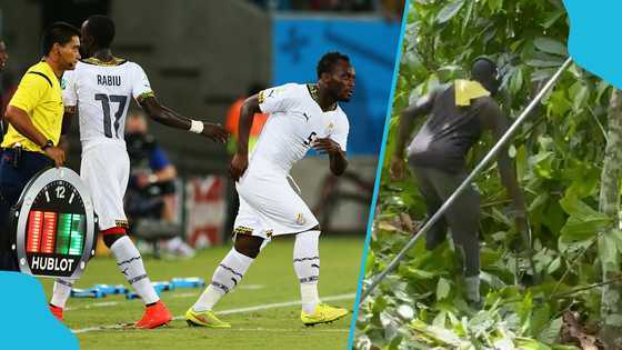 Ex-Black Stars player turns to cocoa farming; fans hail his new hustle (Video)