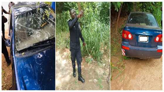 Runaway police officer crashes car to expose 85 parcels of suspected ‘wee’