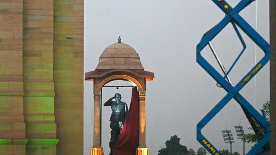 India unveils statue to Nazi-allied independence hero