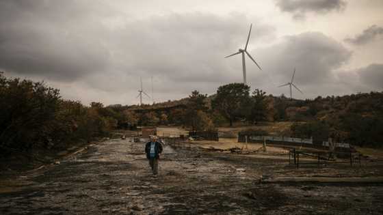 EU must adapt to warming continent: officials