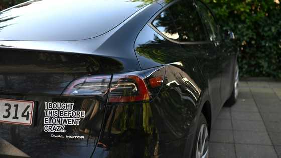 Tesla sales sink by nearly half in Europe