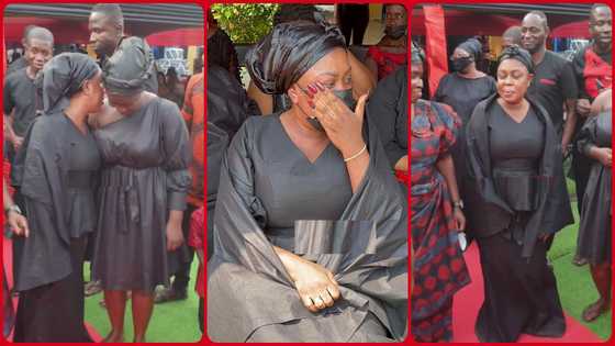 Look at her family and she is always insulting others - Lady says over video of Afia Schwar with close family members