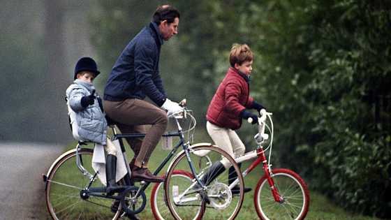 Prince Harry Called Out for Lying About Never Riding a Bike as a Child