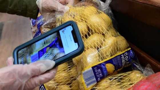Food delivery company asks employees from engineers to CEO to make deliveries
