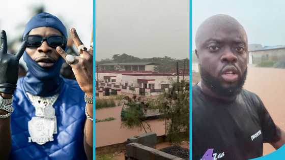 Kwadwo Sheldon reacts to Shatta Wale's diss song after he rejected his help, video