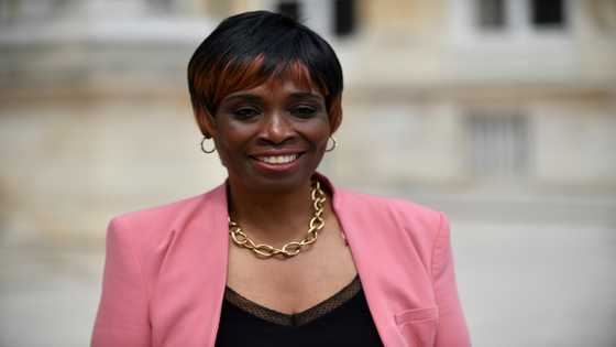 Cleaner, piano tuner: French parliament's fresh faces