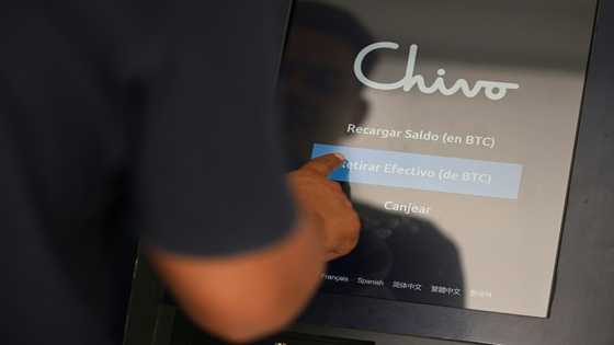 Record remittances provide lifeline in Central America
