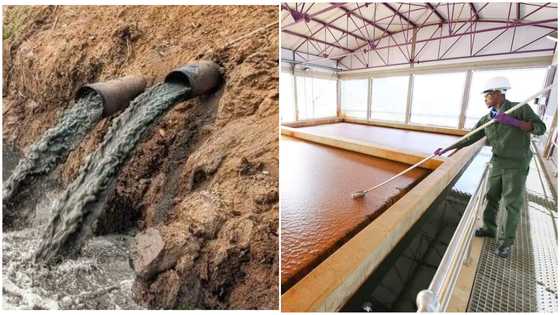 Namibia transforms sewage into drinkable water to solve water crisis