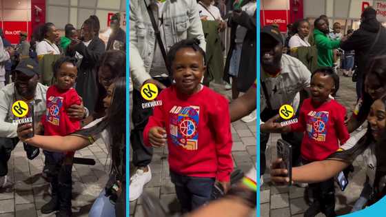 Don Little's fans in the UK ask for selfies, funny moment warms hearts