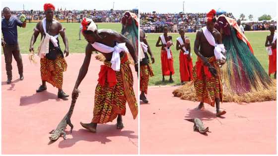 Ghana Independence Day: Crocodile joins 6th March parade, photos evoke joy