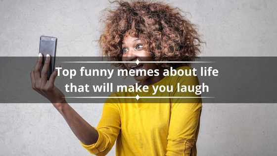 100 best question jokes which will make you laugh out loud - YEN.COM.GH