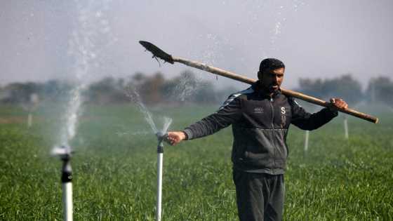 Sprinklers and drip irrigation help Iraqis beat drought
