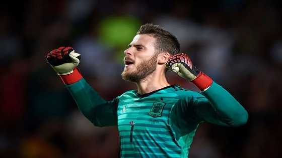 Top Premier League keeper hails De Gea's exceptional goalkeeping skills during Man United win over Spurs