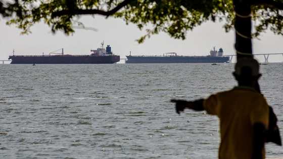 Asian markets track Wall St lower as AI fears mount