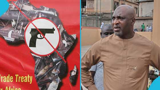 Interior Minister takes drastic action, suspends all gun licenses after Adwoa Safo shooting incident