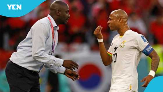 Andre Ayew Opens Up on Handling Criticism as Black Stars Captain