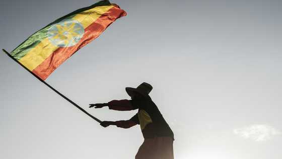 Ethiopia peace talks open in South Africa
