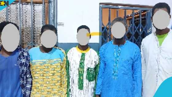 Ghana Police arrest Upper West robbery gang accused of extorting MoMo PINs at machete point