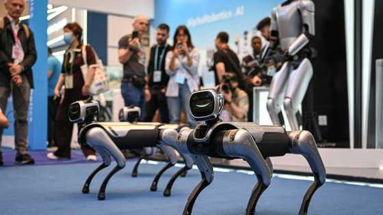 Trump trade war casts pall in China's southern export heartland