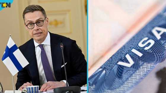 Finland lists 4 conditions spouses of foreign nationals must meet to get residence permit