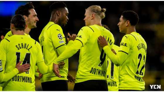 Borussia Dortmund Announces First-ever African Regional Partnership With MSport