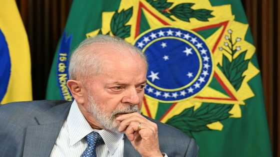 Brazil economy picks up as shoppers spend more