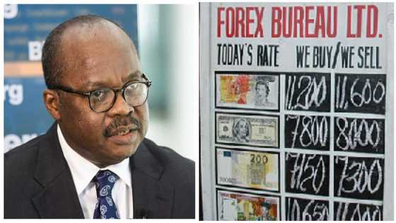 Cedi depreciation compels BoG to clampdown on 'law-breaking' forex bureaus
