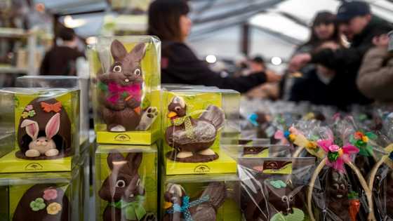Swiss chocolatiers bank on the Easter bunny as cocoa costs soar